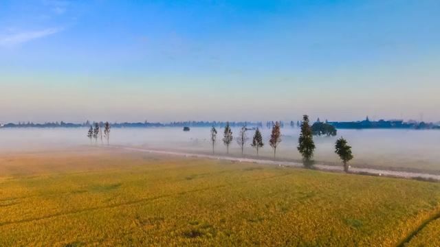 氛围感拉满！浙江这些宝藏乡村，春天一秒入画，出圈又出片