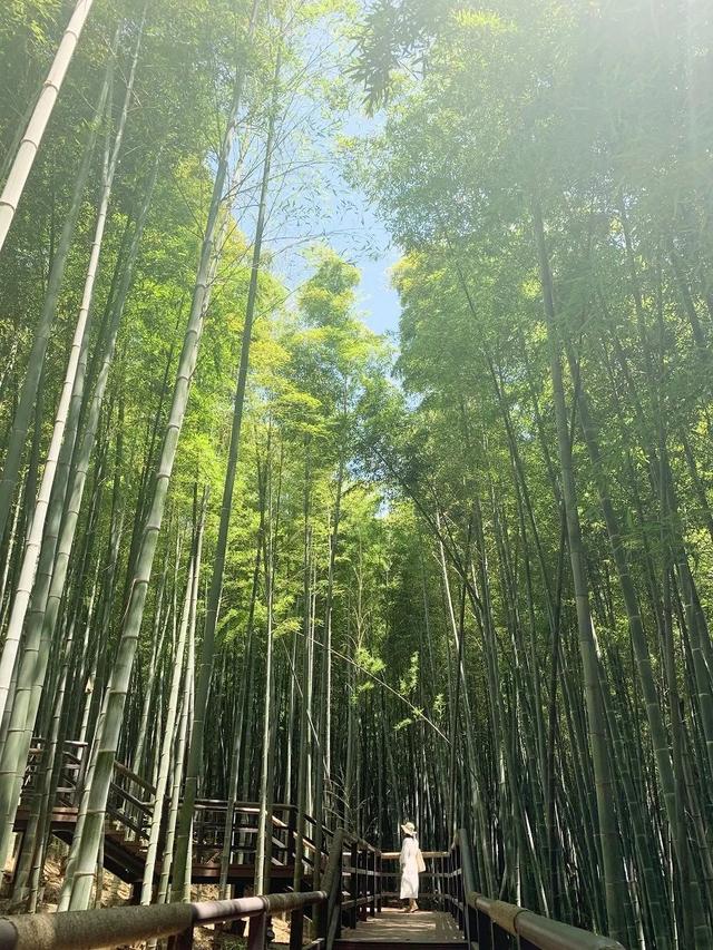 氛围感拉满！浙江这些宝藏乡村，春天一秒入画，出圈又出片