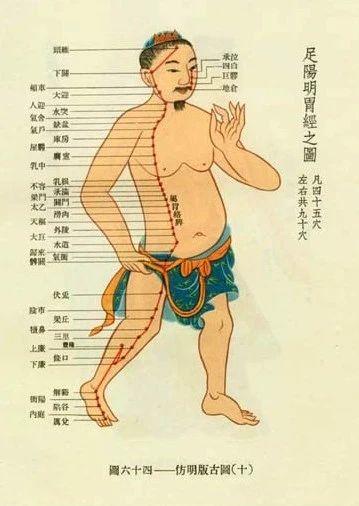 养生十二时辰