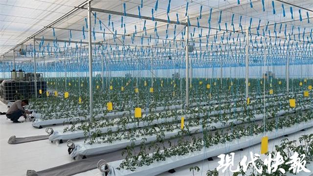 多措并举，昆山全力保障300万人民生活物资供应