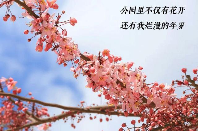 4月9日0-24时，深圳新增4例本土新冠病毒无症状感染者