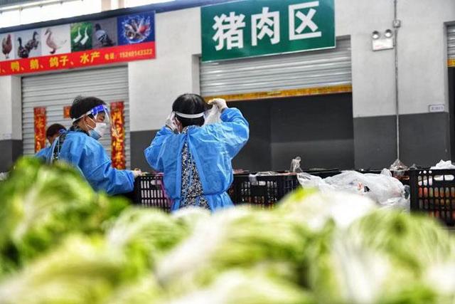 淮南：特“蔬”行动确保“粮草”不掉队