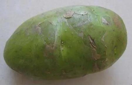 发芽土豆还能抢救一下吗？