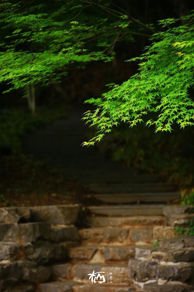 【栖语堂】 在复杂的世界里，和简单的人在一起