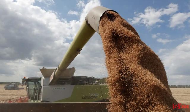 全球前500富豪财富增加(全球前100富豪占全球总财富)