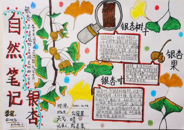 “线上科普”传递抗疫力量 位育初级中学科技节活动（三）