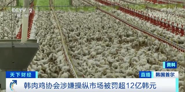 涉嫌操纵市场40次！韩国肉鸡协会被开出12亿韩元“最高”罚单