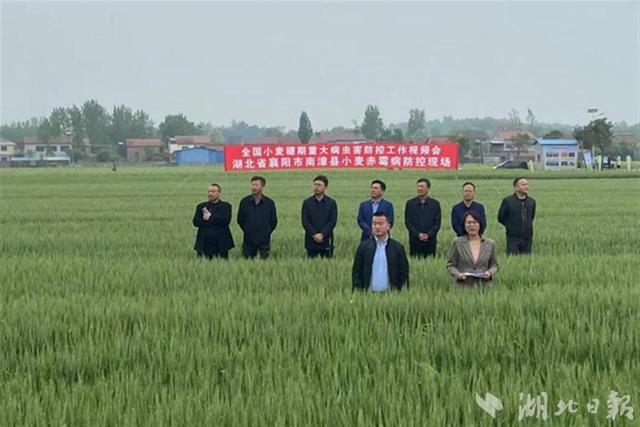 襄阳这项工作在全国作典型交流 戳这来看详情
