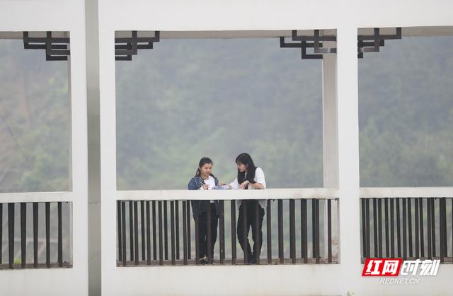 张家界一山村中学师生把知识难点编成1496首歌，别人家的学校