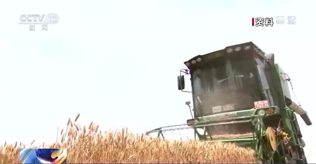 中国农业展望报告：2031年我国粮食自给率将达到88.1%