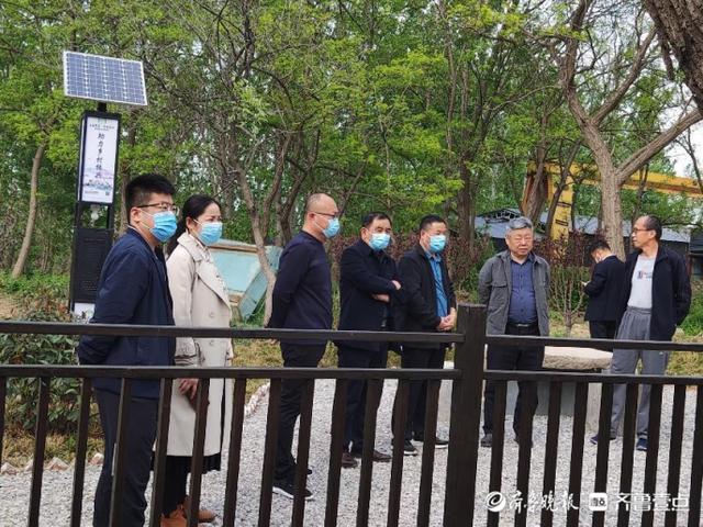 聊城市自然资源和规划局开发区分局将濒危古树复壮建成口袋公园