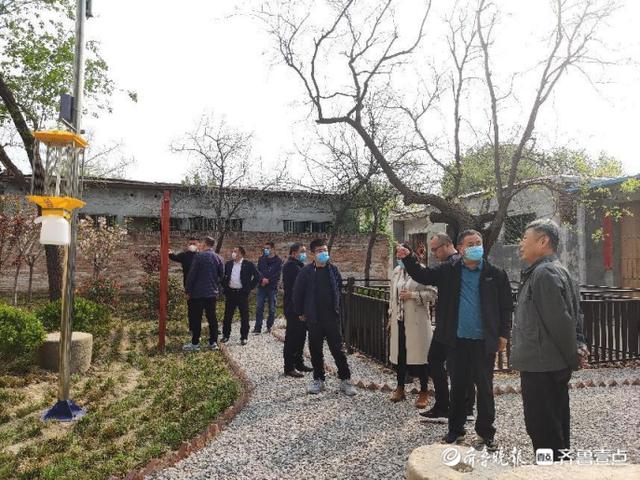 聊城市自然资源和规划局开发区分局将濒危古树复壮建成口袋公园