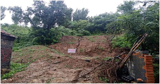 山东省地矿局五院全力保障泰山区域山水林田湖草生态保护修复工程