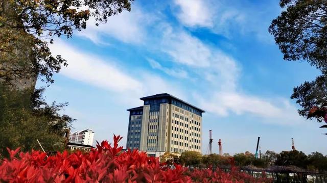 愿谷雨初晴后，一城万物新