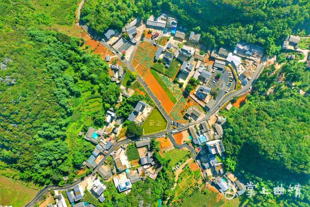 罗平：着力打造乡村振兴示范区