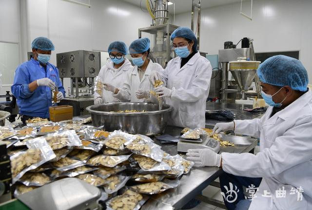 罗平：着力打造乡村振兴示范区
