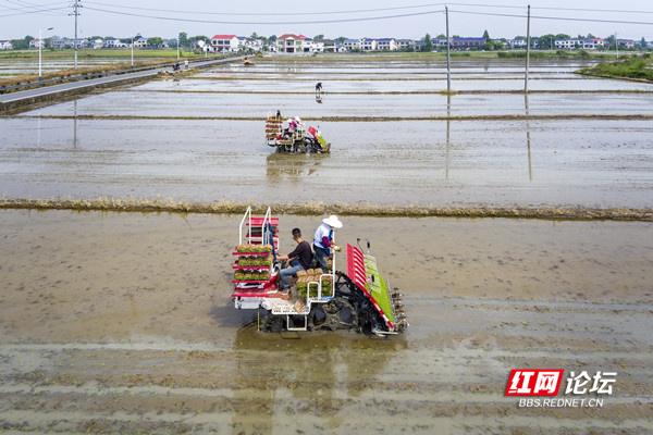 农业现代化助力乡村振兴！谷雨时节，田间处处机器轰鸣