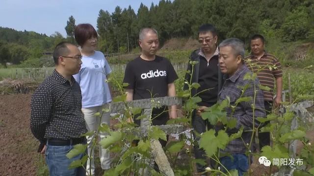 助力乡村振兴！驻村工作队把技术送到群众身边