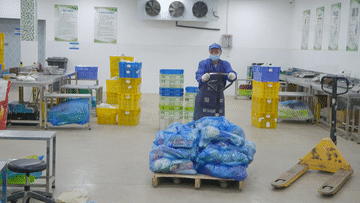 新华全媒+｜上海崇明：保供蔬菜 助力疫情防控