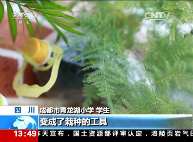低碳科技体验馆、生态智能大棚……龙泉驿这所绿色低碳生态学校升级了！