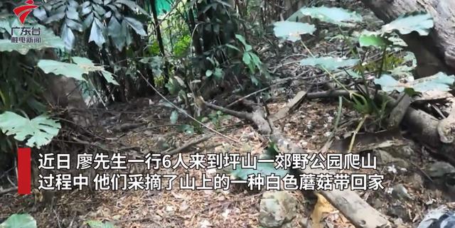 经常提醒还是有人中招，恩平市民要慎吃这种食物