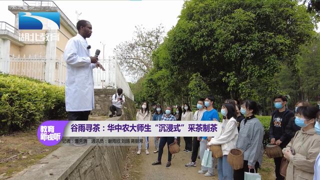 湖北教育新闻｜谷雨寻茶：华中农大师生“沉浸式”采茶制茶