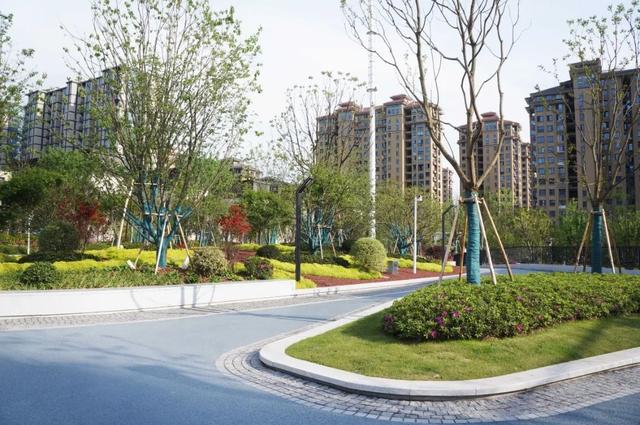 正式开放！丽水首个以“市花”杜鹃为主题的城市公园来了