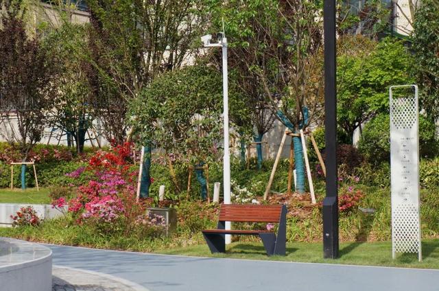 正式开放！丽水首个以“市花”杜鹃为主题的城市公园来了