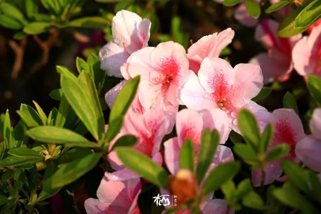 【栖语堂】 在复杂的世界里，和简单的人在一起