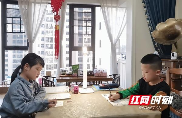 居家抗疫情 学习亦精彩——双清区东塔小学孩子们居家学习生活纪实