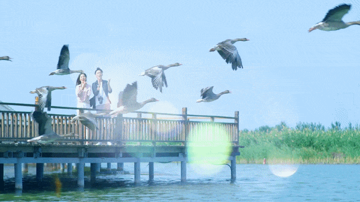 端午佳节来沙湖，一起来解密“粽子里的故事”！