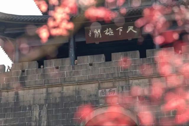 【五一“趣”剑阁】直接出发！四天三夜康养度假游已为您安排好~