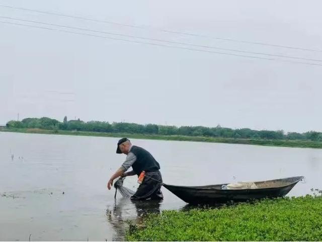吃过冇？鄂州有种小龙虾喝豆浆红糖水长大