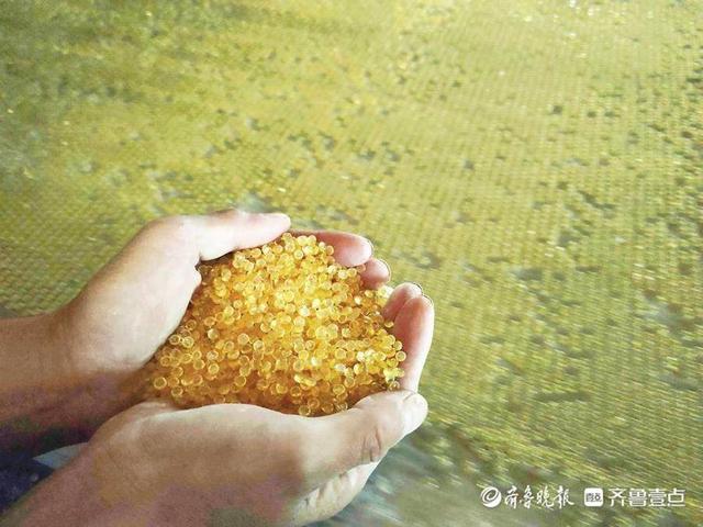 深壹点丨乐陵盐碱洼地“长”出高精化工园