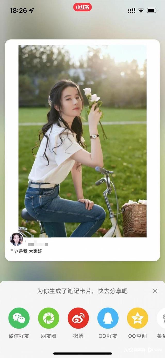 社交平台盗图乱象调查：有人网购美女照诈骗，海量写真打包卖