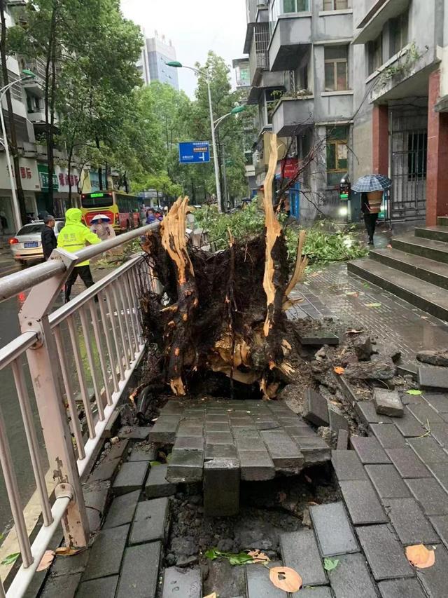 12级风力有多大？来感受下酉阳凌晨的风