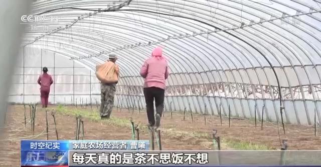 春耕大幕拉开 吉林省多措并举确保不让一亩地撂荒