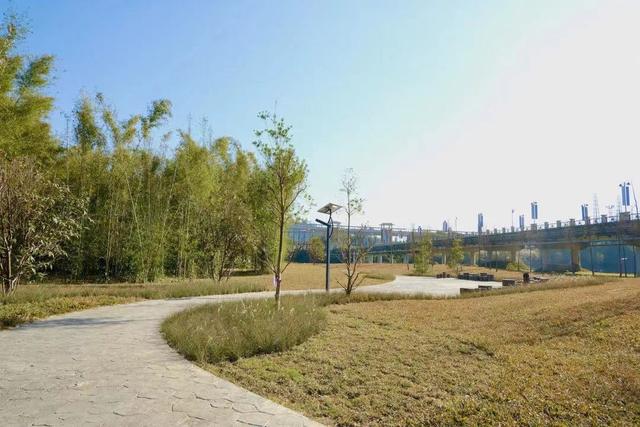 野趣之旅，说走就走！广州多个帐篷区、露营地等你来