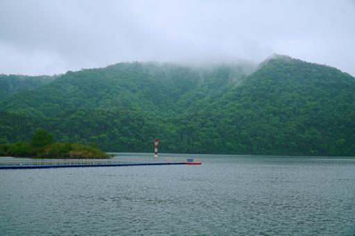 四季黄山 相约春天｜雨后轮渡惹人醉