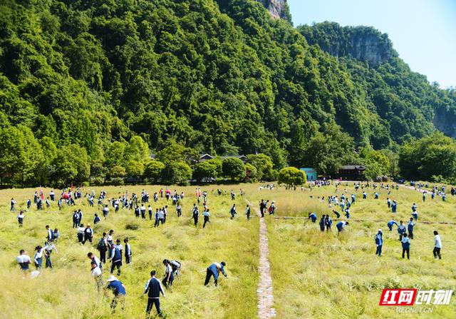 “五一”假期开启“返程潮”，张家界各大景区客流回落