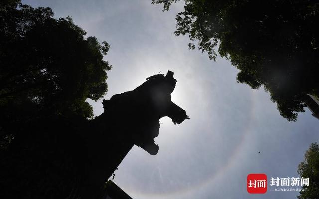 成都天空又现“日晕”惊艳朋友圈