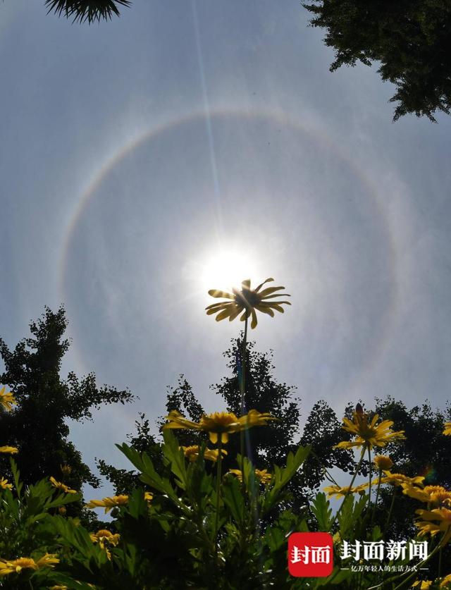 五一假期最后一天 成都天空又现“日晕”惊艳朋友圈
