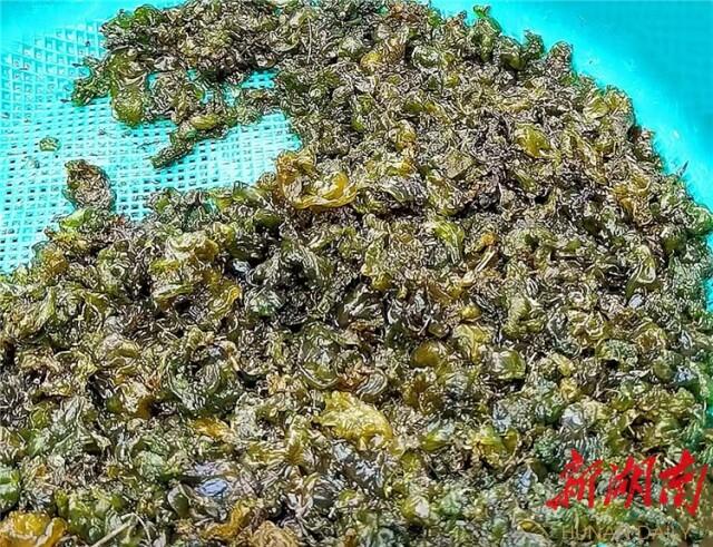 散文丨翟非：只此清静