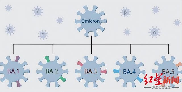 奥密克戎新变种或能逃避免疫保护