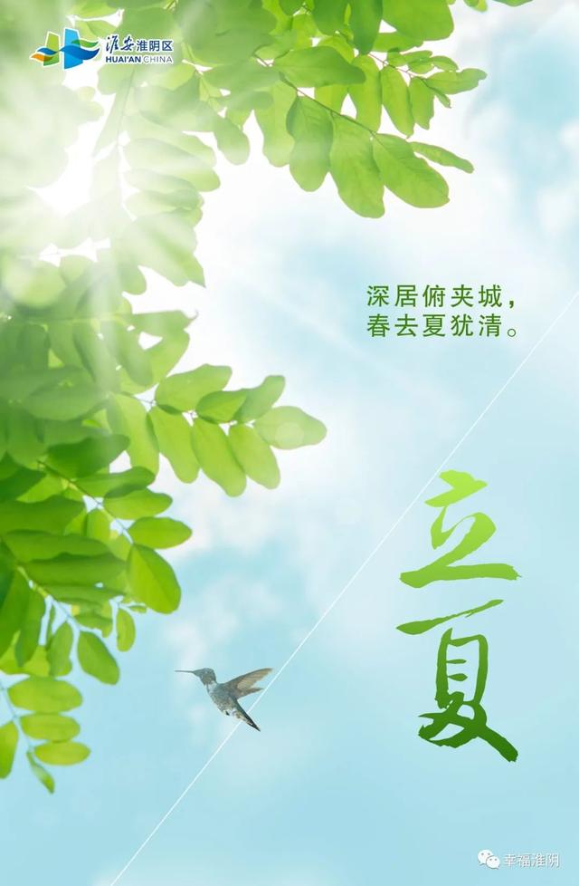 今日立夏｜你好，夏天！