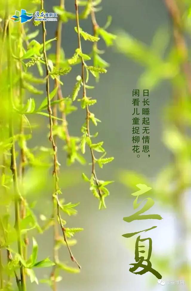 今日立夏｜你好，夏天！
