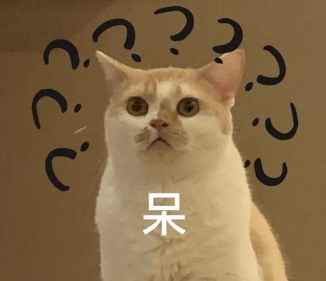 资讯 | 最强降雨即将来袭！持续到……