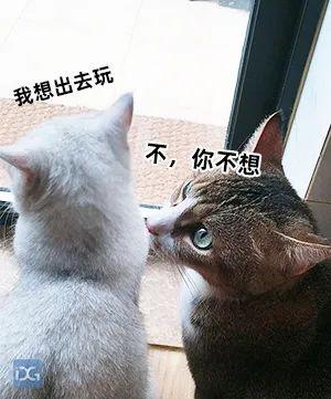 降雨降温，开始！