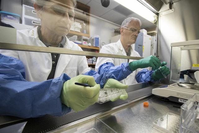 （外代一线）美国科学家在月壤中种出植物