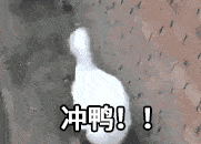 第五届“我是答题王”湖南省禁毒知识竞赛大学生专场赛开始答题啦！还有留学生专区哦～